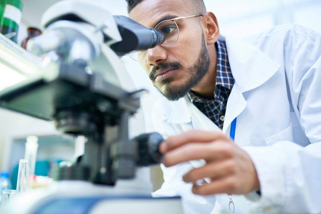 B2B Preisforschung Fallstudie
